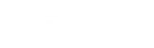 Japspeed website logo